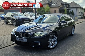 BMW Seria 5 520d xDrive M Sport Edition