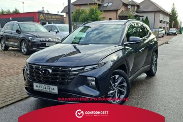 Hyundai Tucson 1.6 CRDi 48V Platinum 2WD DCT